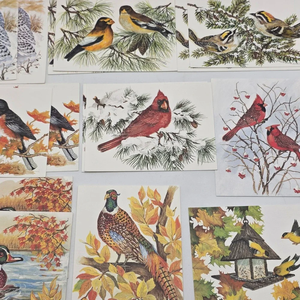 John Cornacchio Bird Note Cards 16ct Multicolor Wildlife Art Stationery Set USA